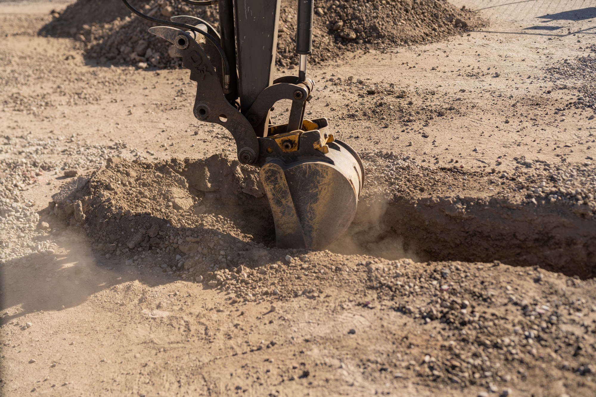 20260306_880Mercado_00326